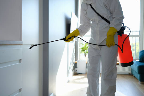 Best Mold Cleaning Services  in Friend, NE